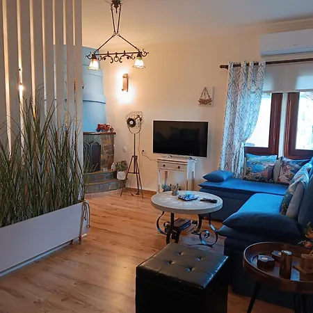 Mesonisi με υπέροχη θέα στον παγασητικό!! Holiday home Afissos